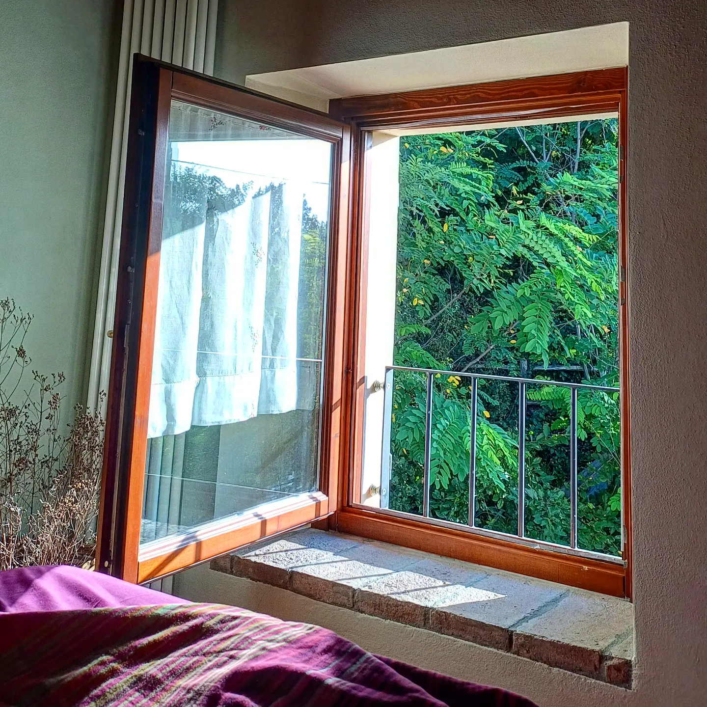 Camera Timo finestra sul verde