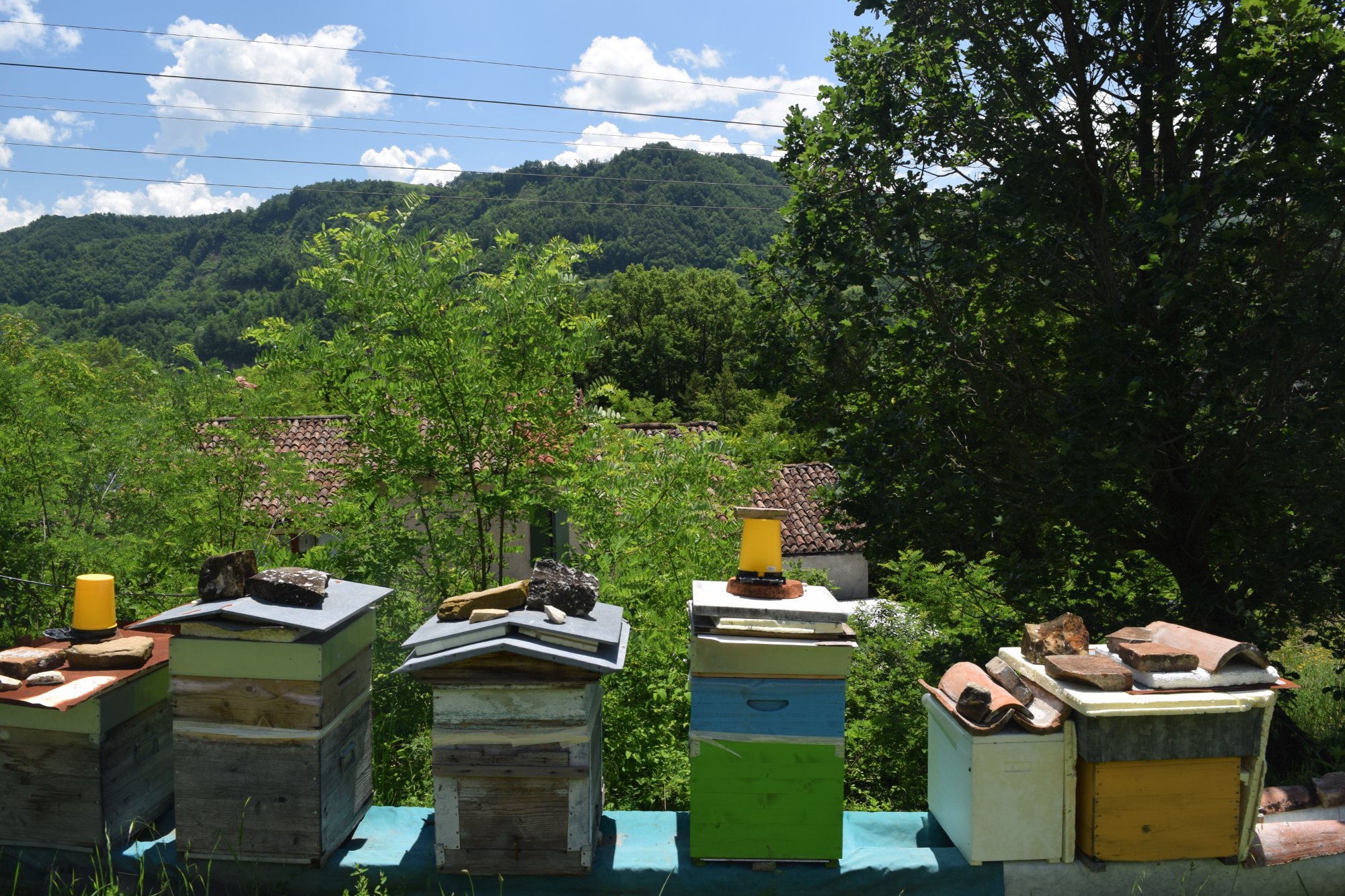 Arnie con vista sulle colline