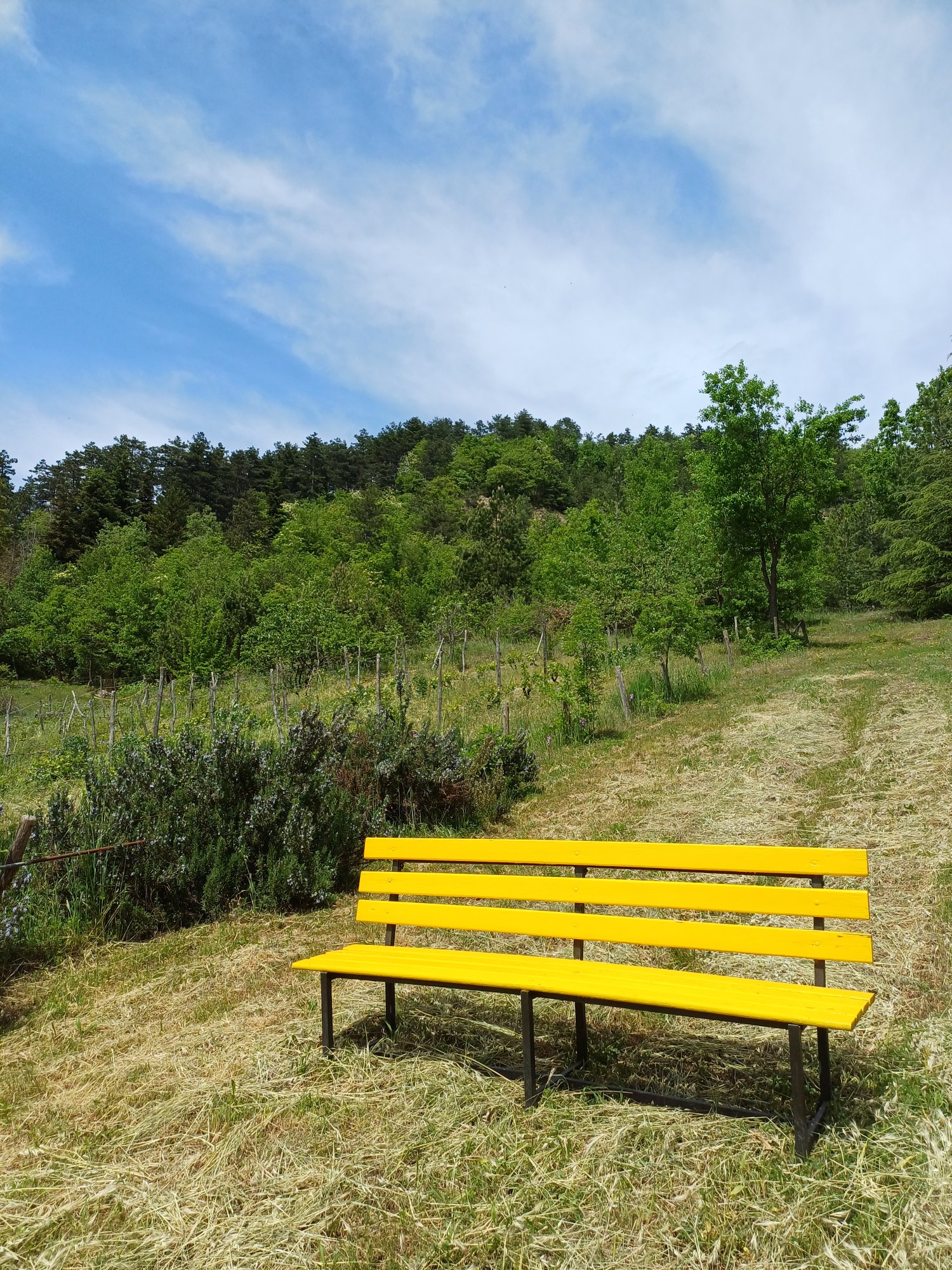 Panchina gialla sulla collina