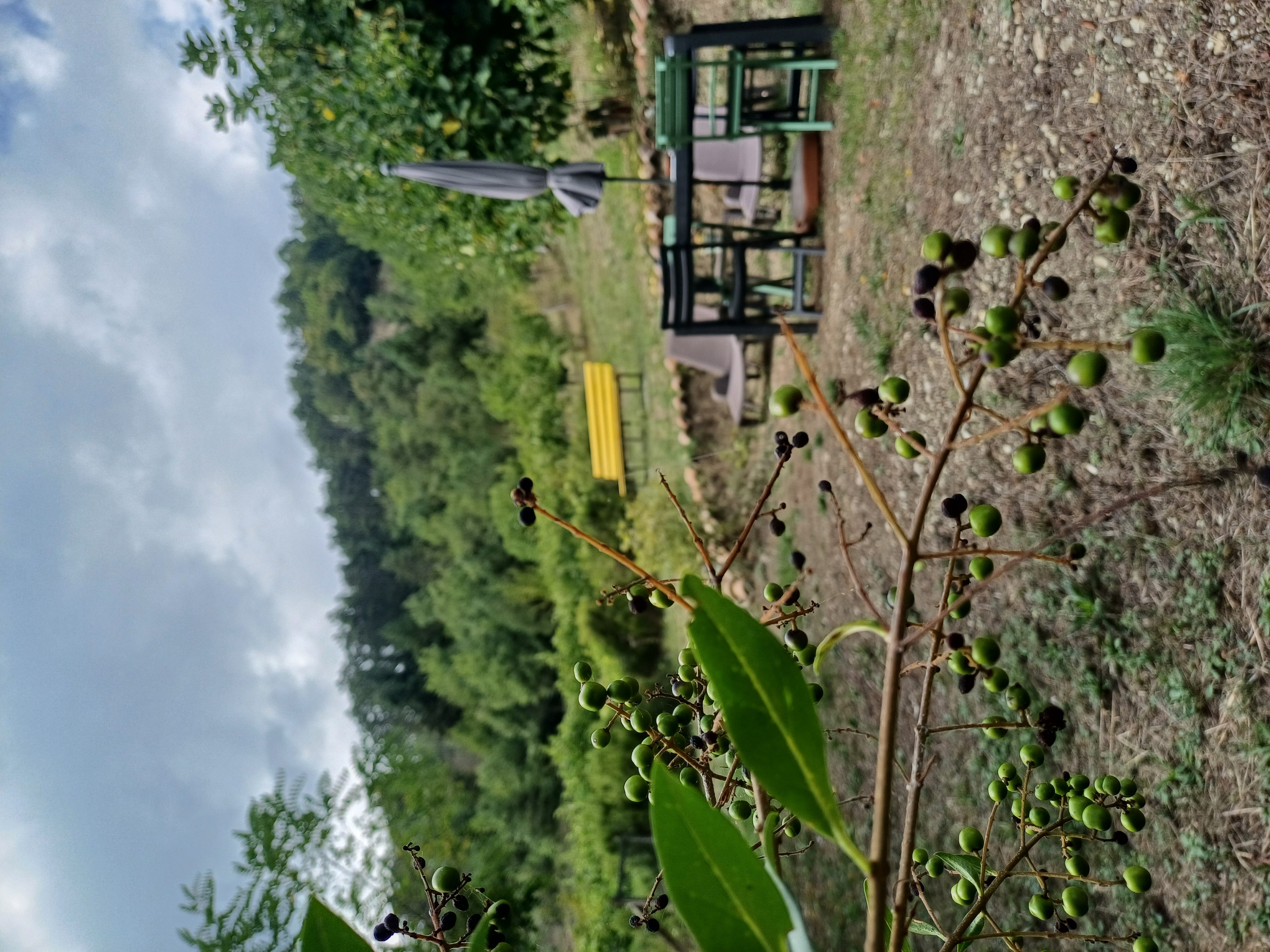 Colline Val Parma Langhirano