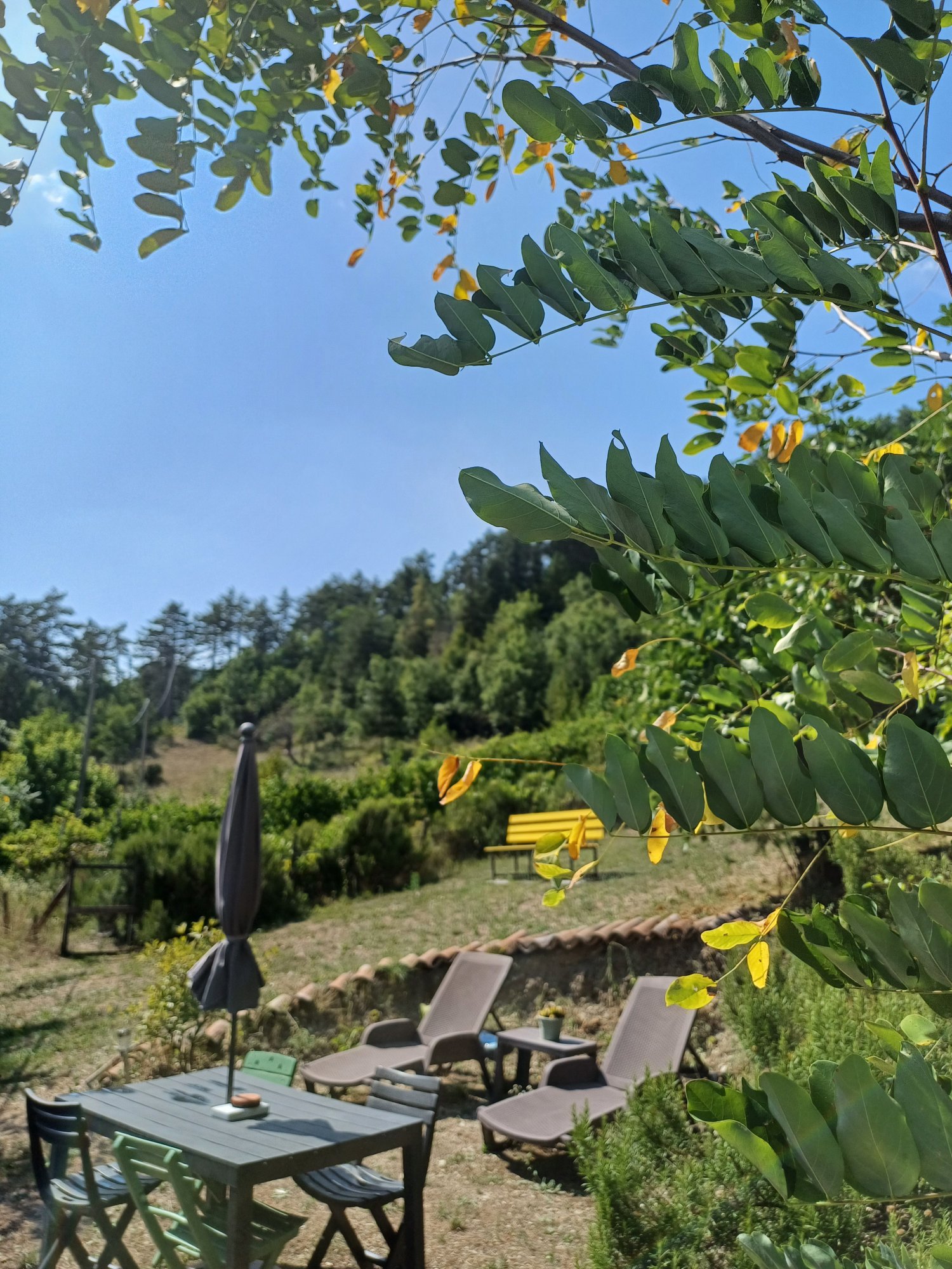 Giardino con vista sulla collina