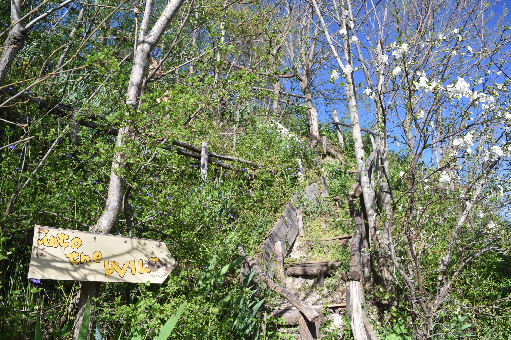 Scalinata verso la collina privata